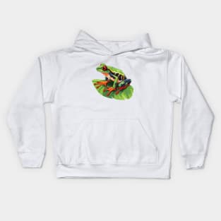 Red Eyed Tree Frog Kids Hoodie